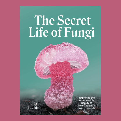 The Secret Life of Fungi by Jay Lichter - The Flower Crate