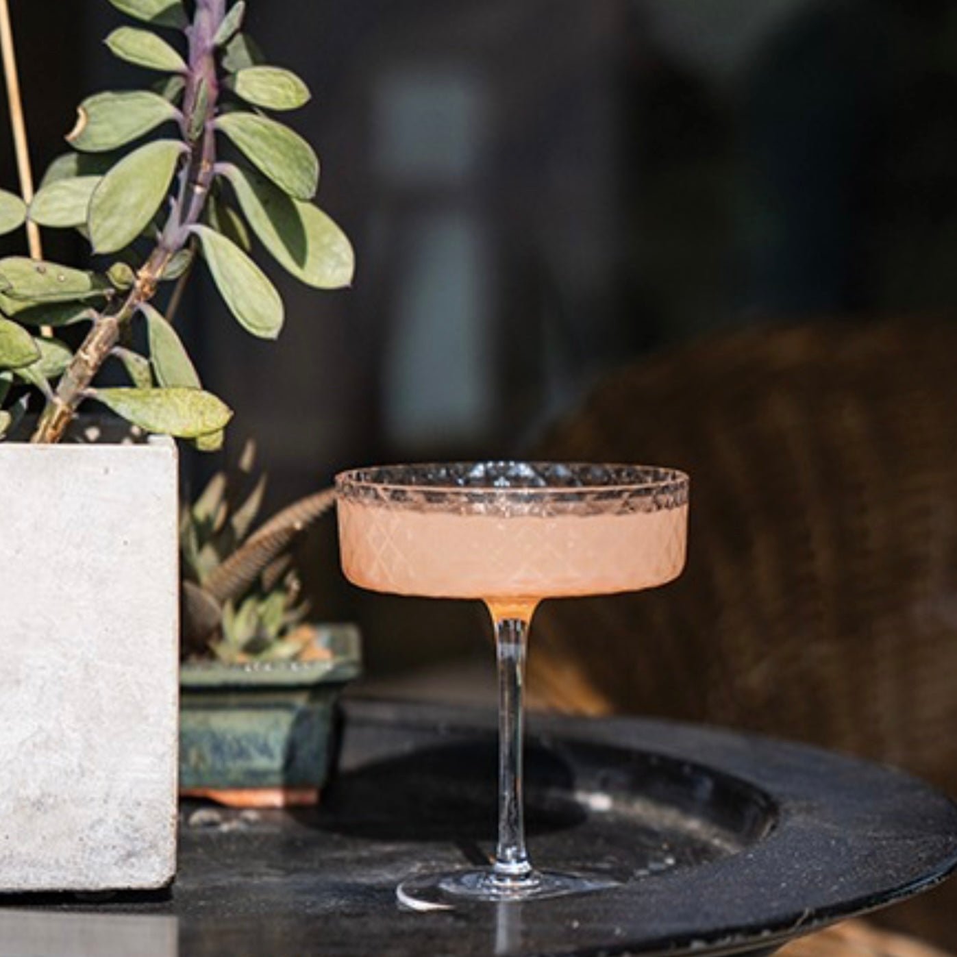 Veneziano Mixology Goblet - The Flower Crate
