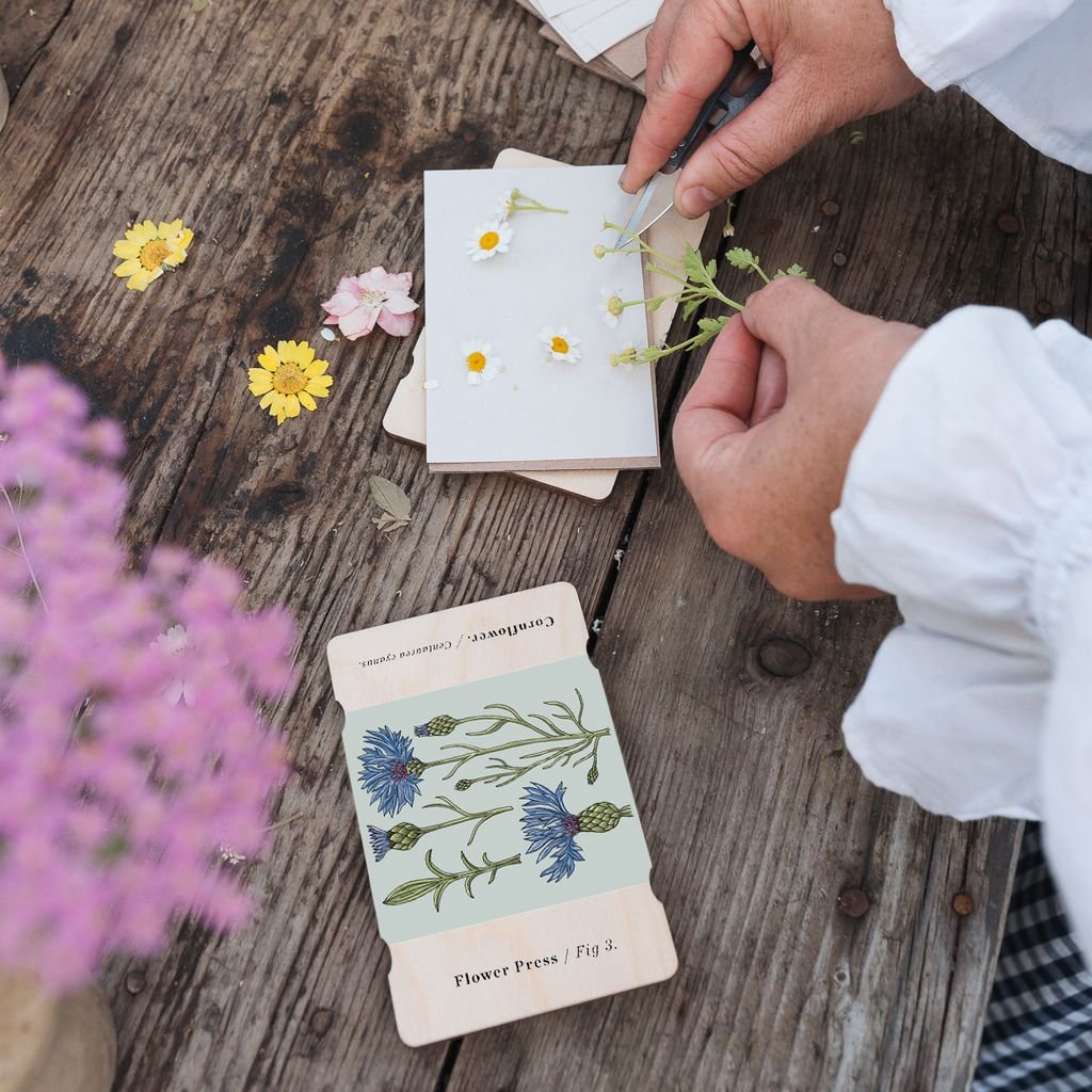 Vintage Cornflower Pocket Flower Press - The Flower Crate