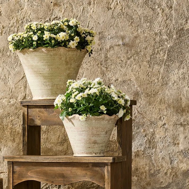 Wavy Planter Pot - The Flower Crate