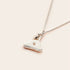 Whistle & Pop - High Country Dainty Whistle Necklace - The Flower Crate