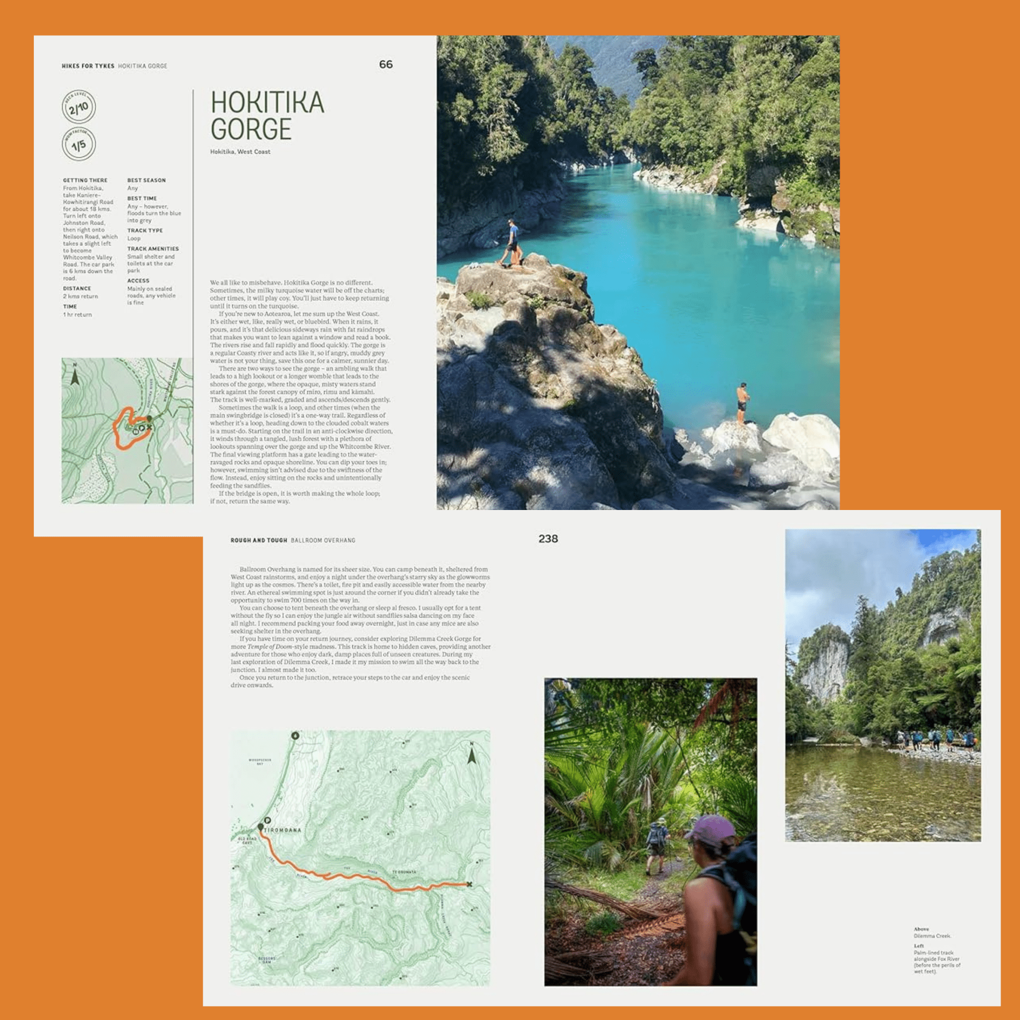 Wild Walks Aotearoa - The Flower Crate