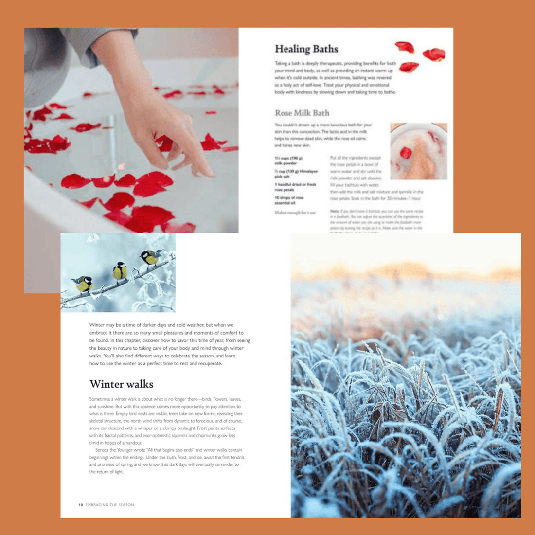 Winter Wellbeing - The Flower Crate