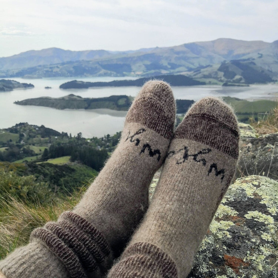 Wyld - Pihepe Boot Socks - The Flower Crate