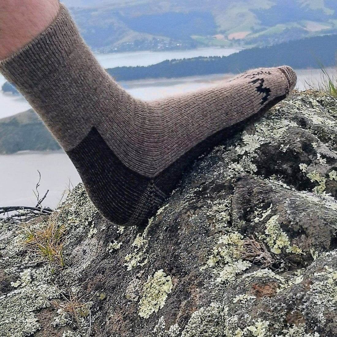 Wyld - Pihepe Casual Socks - The Flower Crate