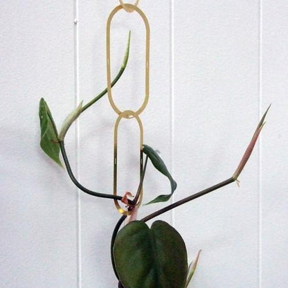 Climbing Plant Support