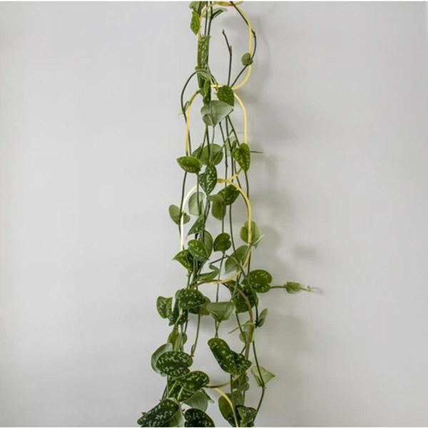 Climbing Plant Support