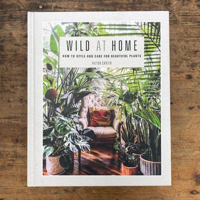 Wild at Home - Hilton Carter