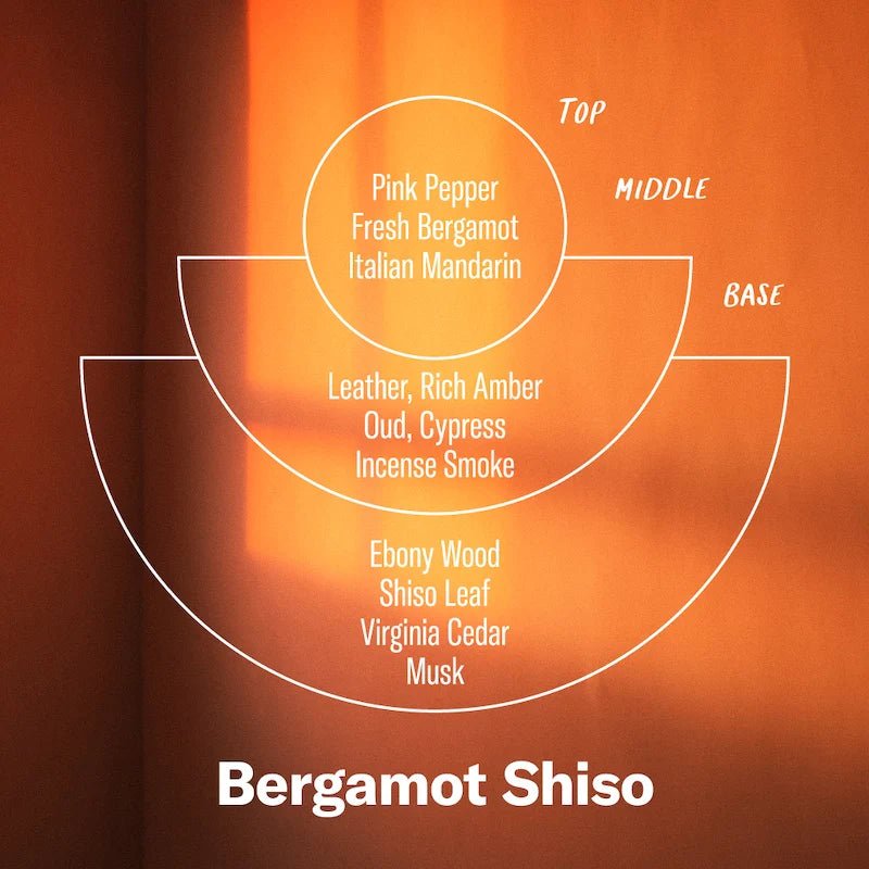 Alchemy Range: Bergamot Shiso - 7.2oz Candle - The Flower Crate