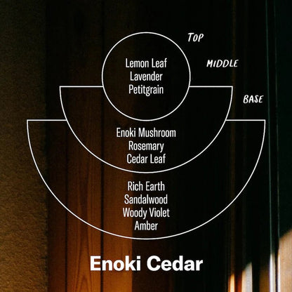 Alchemy Range: Enoki Cedar - 7.2oz Candle - The Flower Crate