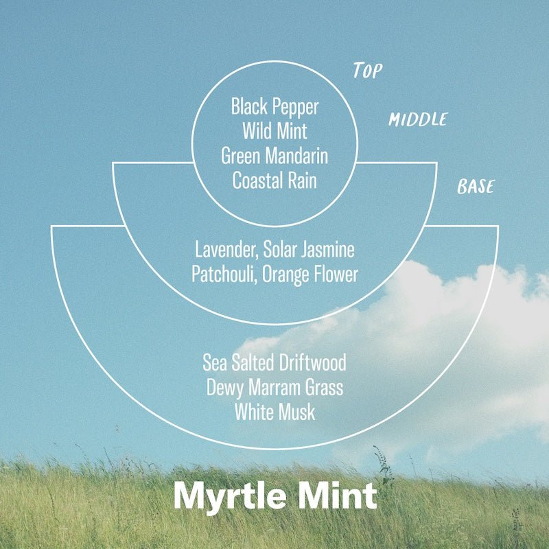 Alchemy Range: Myrtle Mint - 7.2oz Candle - The Flower Crate