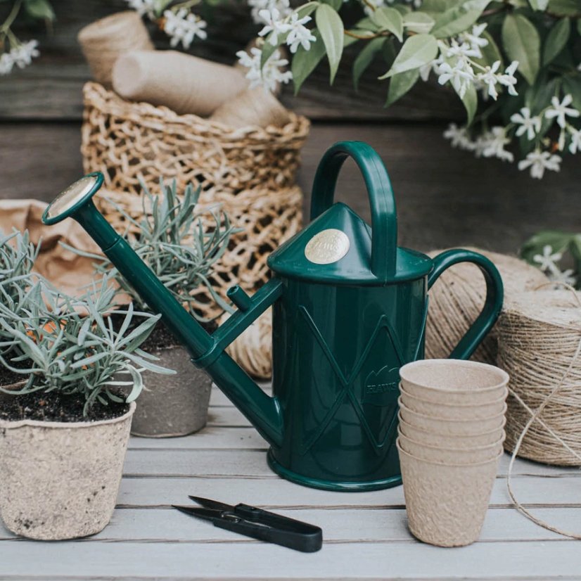 Bartley Burbler Green - 2 litre - The Flower Crate