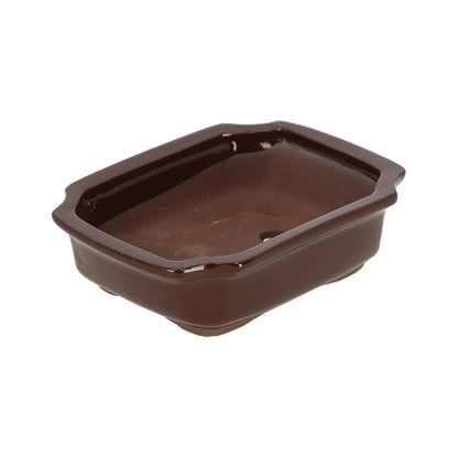 Bonsai Rectangular Pot &amp; Saucer - The Flower Crate
