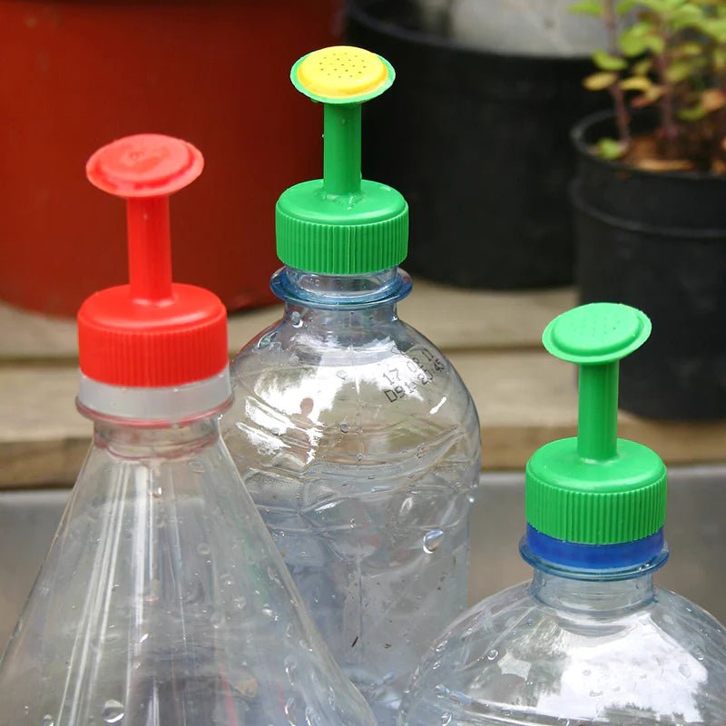 Bottletop Waterer Pack - The Flower Crate