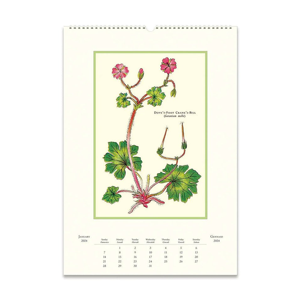 Cavallini & Co - 2024 Wall Calendar - The Flower Crate