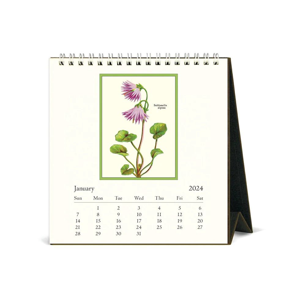 Cavallini &amp; Co Desk Calendar - The Flower Crate