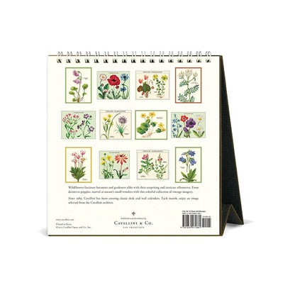 Cavallini &amp; Co Desk Calendar - The Flower Crate