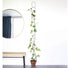 Climbing Plant Support - The Flower Crate