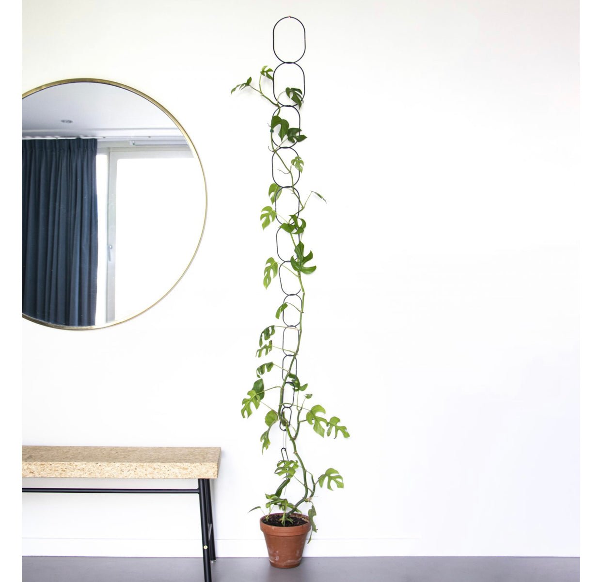 Climbing Plant Support - The Flower Crate