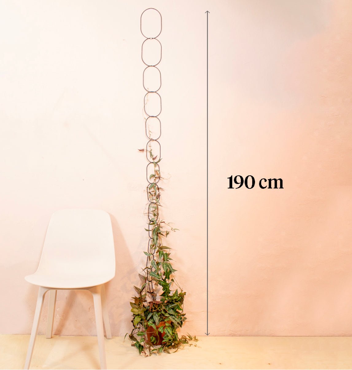 Climbing Plant Support - The Flower Crate