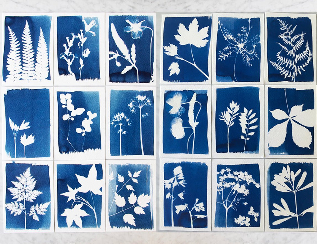 Cyanotype Kit - DIY kit to make your own blueprints - The Flower Crate