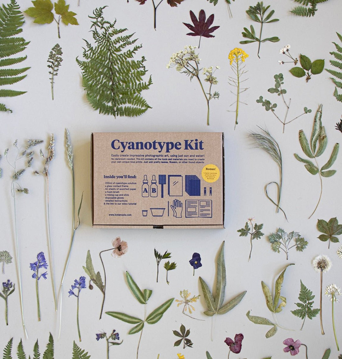Cyanotype Kit - DIY kit to make your own blueprints - The Flower Crate