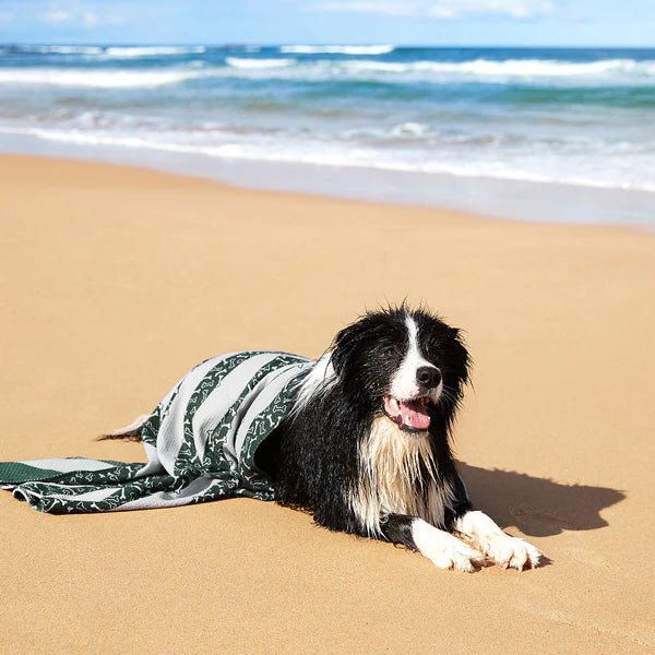 Dock &amp; Bay - Dog Towel, Bone Dry - The Flower Crate