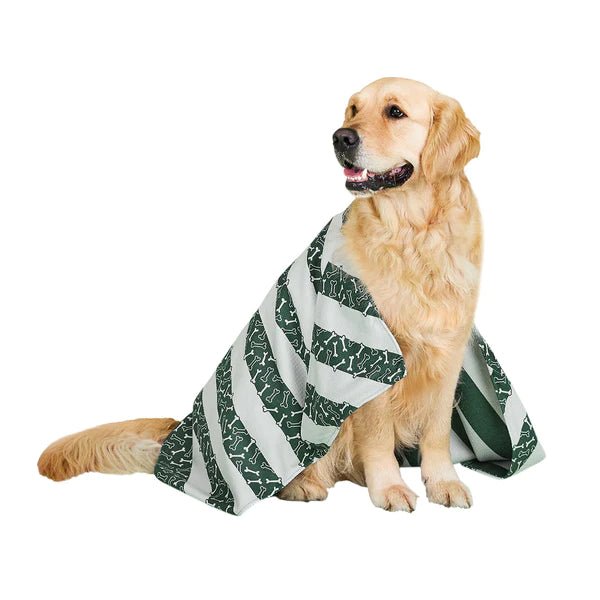Image showcasing Dock & Bay - Dog Towel, Bone Dry - The Flower Crate
