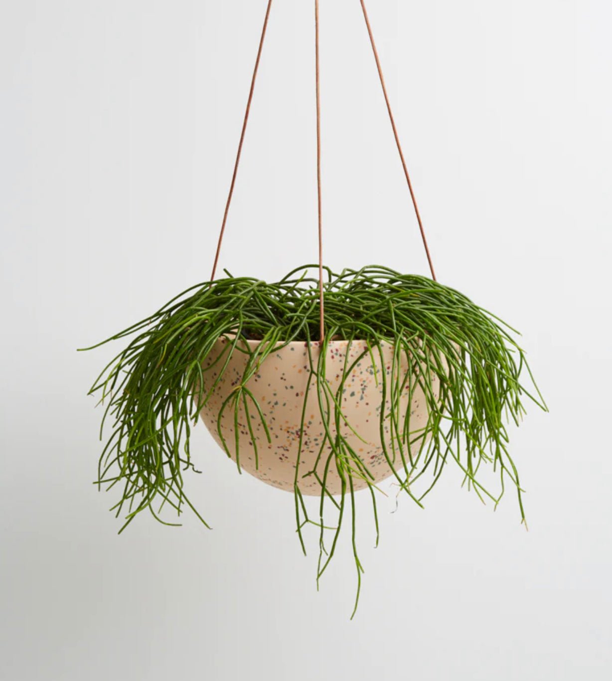 Dome Hanging Planter - The Flower Crate