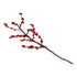 En Gry & Sif - Felt Branch With Red Berries - The Flower Crate