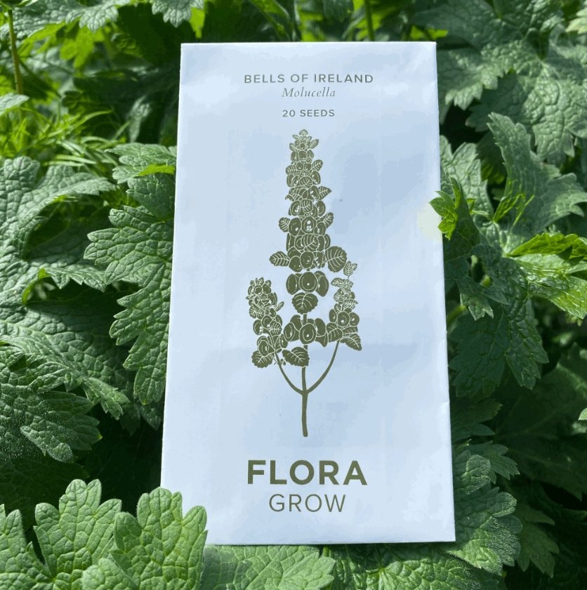 Flora Grow Seeds. Bells of Ireland - The Flower Crate