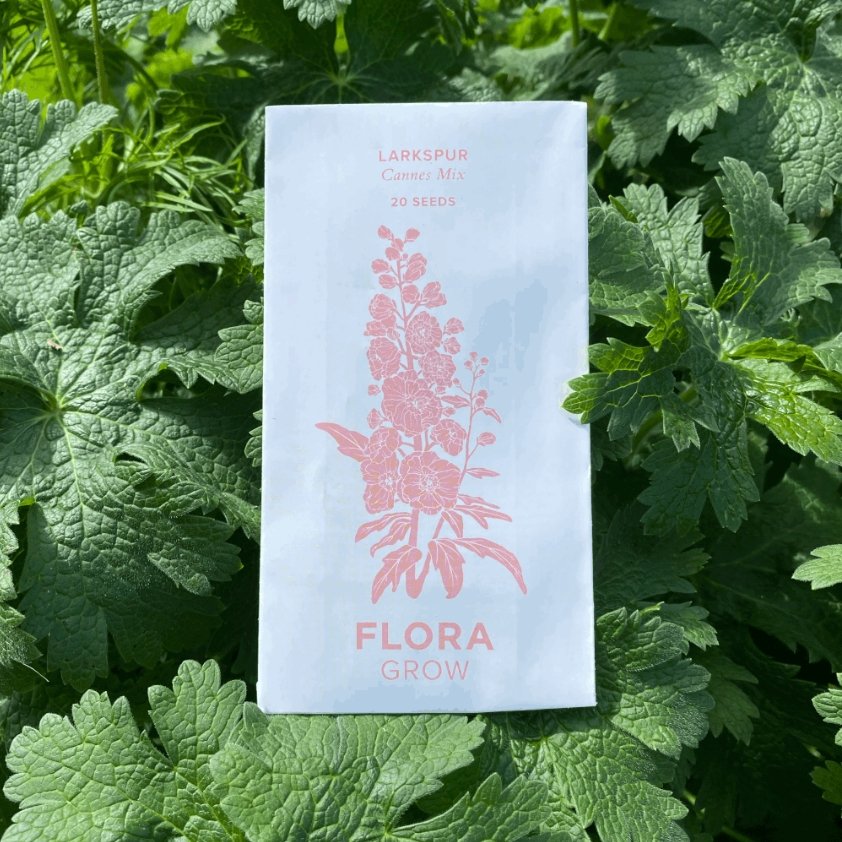 Flora Grow Seeds - Larkspur - The Flower Crate