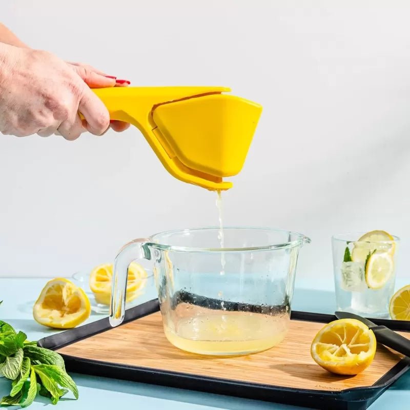 Fluicer Lemon Juicer - The Flower Crate