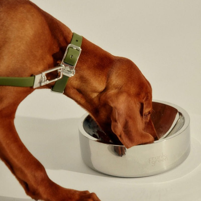 Frank Green - Stainless Steel Pet Bowl - The Flower Crate