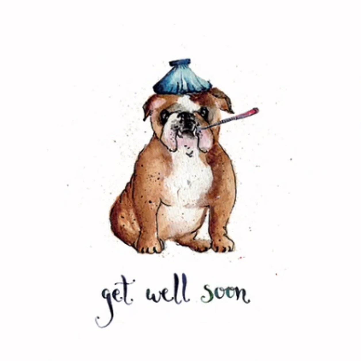 Get Well Cards by Louise Mulgrew - The Flower Crate