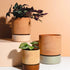 Grace Planter - Rose Terracotta & Sage - The Flower Crate