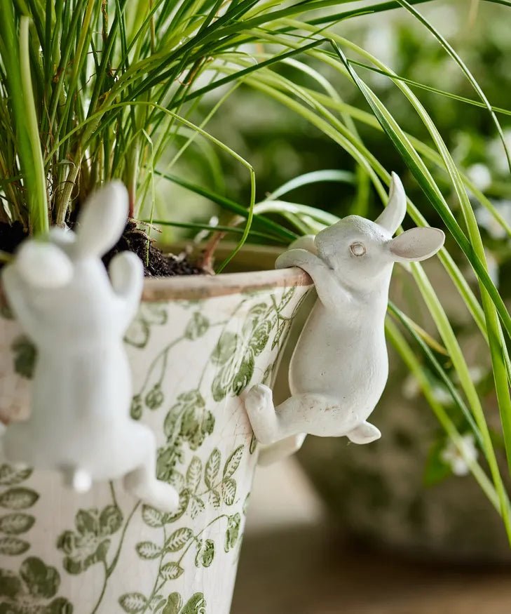rabbit plant pot hanger Hanging Bunny