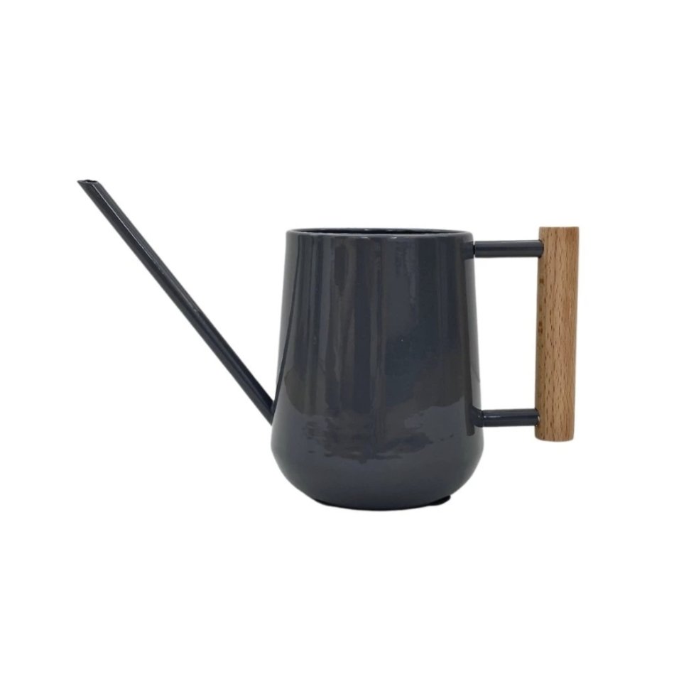 Indoor Watering Can - Charcoal - The Flower Crate