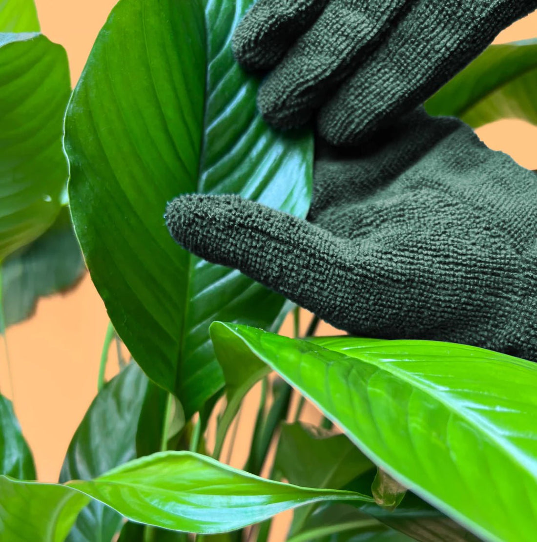 Leaf Cleaning Gloves - The Flower Crate