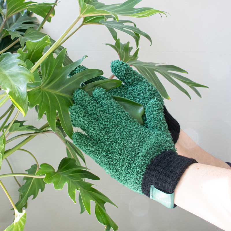 Leaf Love Gloves - Microfibre Dusting Gloves For Plants - The Flower Crate