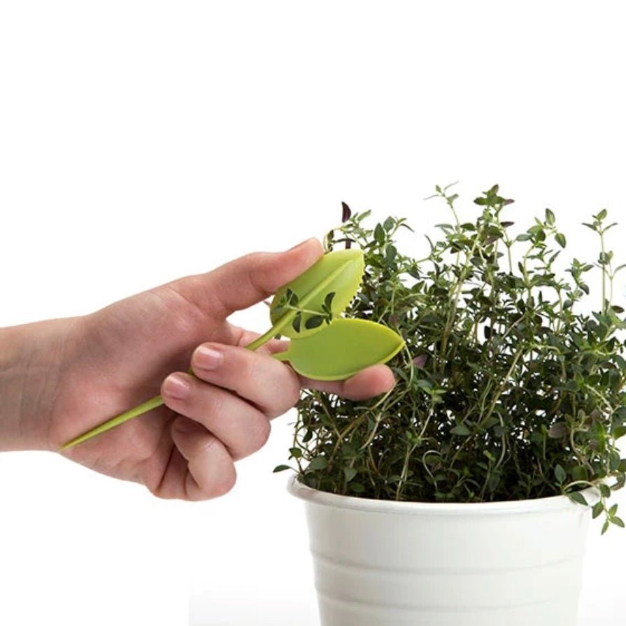 Leafers - Herb Snips - The Flower Crate