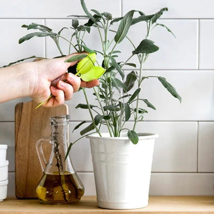 Leafers - Herb Snips - The Flower Crate