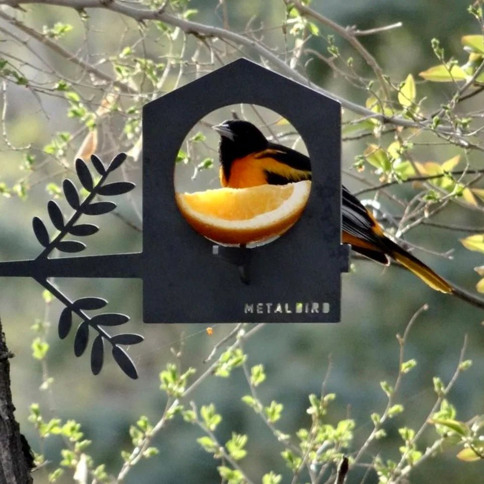 Metalbird - Bird Feeder - The Flower Crate
