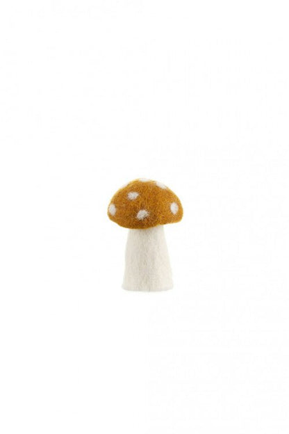 Muskhane - Dotty mushroom, Small - The Flower Crate