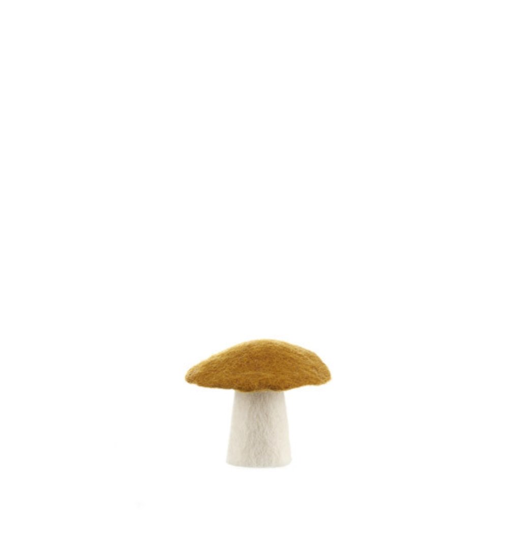 Muskhane - Mushroom - The Flower Crate