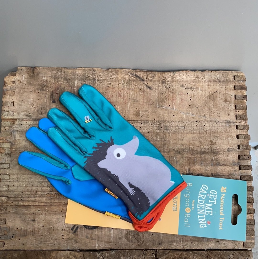 National Trust Get me Gardening- Hedgehog Glove - The Flower Crate