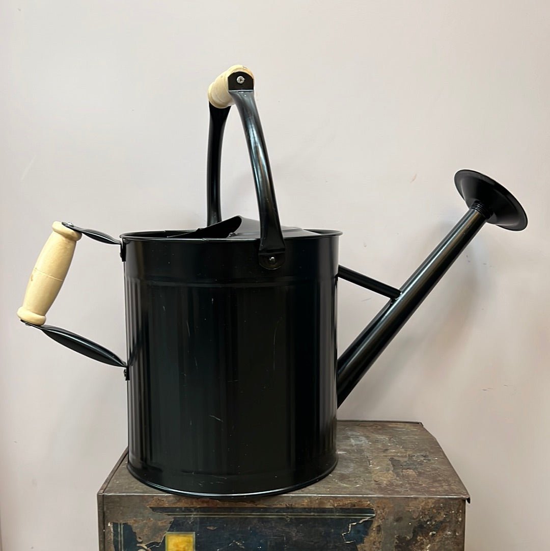 Omni 10 Litre Watering Can - The Flower Crate