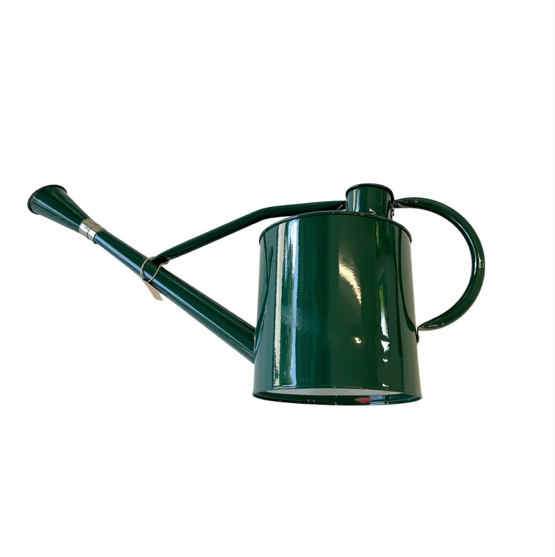 Omni Antique Watering Can - The Flower Crate