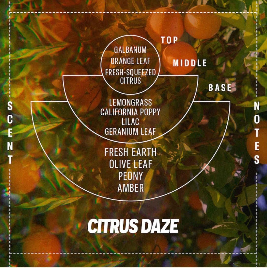P.F Candle Co - Citrus Daze - The Flower Crate