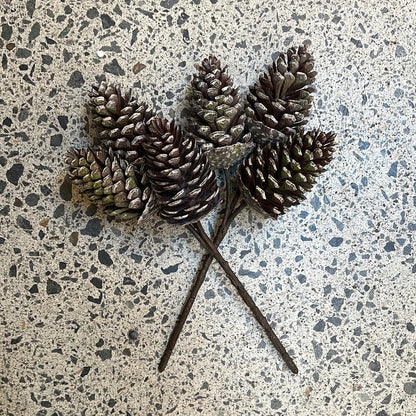 Pinecone Pick - The Flower Crate